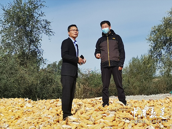 �п�ʯ�Ͷ����L(zh��ng)��ѩ�������(y��ng)�з���(k��)�h�{(di��o)��